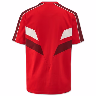 rote Rückseite des T-Shirts mit dunkelroten und weißen Details