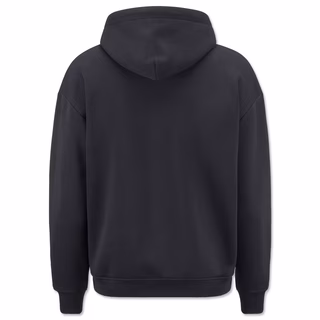 VfB hoody city grey