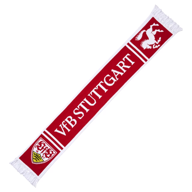 VfB scarf skyline