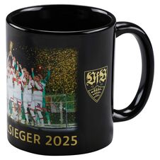 VfB cup winner cup team
