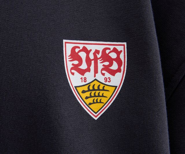 VfB hoody Fritzle dark grey