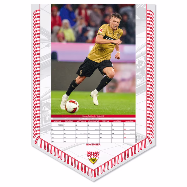 VfB banner calendar 2027