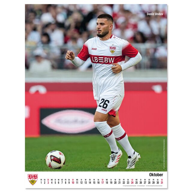 VfB poster calendar 2027