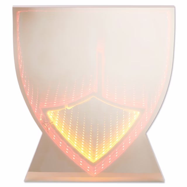 VfB LED light emblem