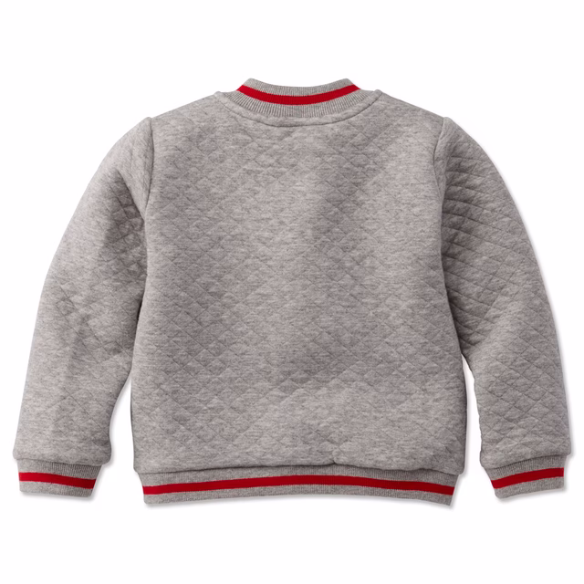 grau gemusterte Rückseite der Sweatjacke mit roten Details