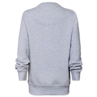 graue Rückseite des Hoodies