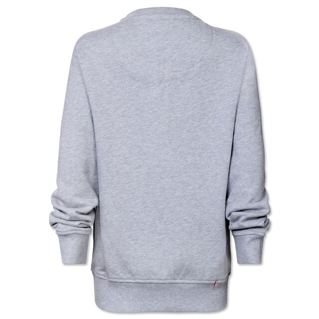 graue Rückseite des Hoodies