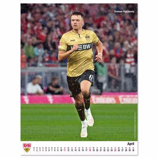 VfB poster calendar 2027