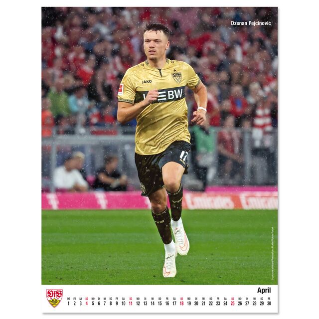 VfB poster calendar 2027