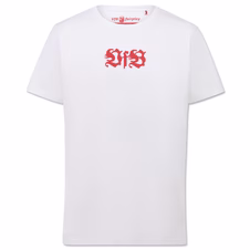 VfB t-shirt emblem history