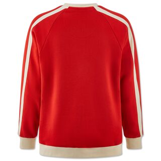 weiß-rote Rückseite des Sweaters