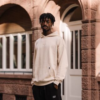 VfB Kleinigkeit Hoodie Stadtbild beige