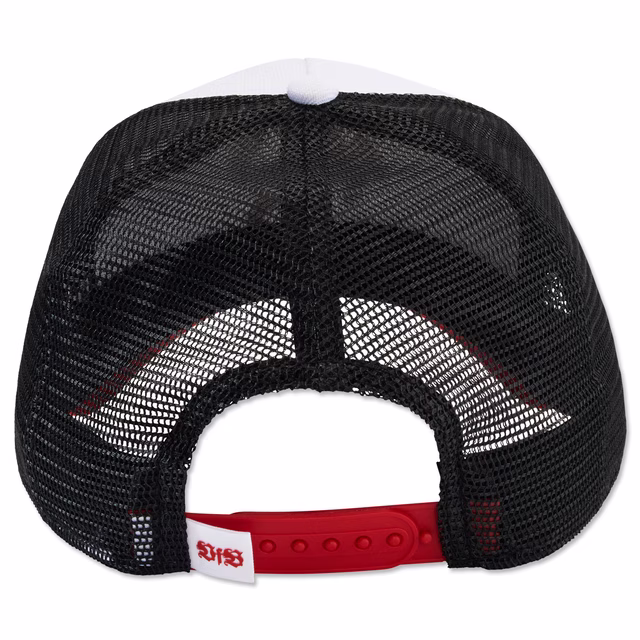 Rückseite 