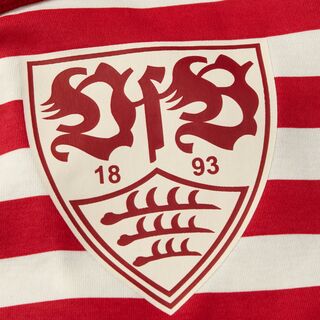 Nahaufnahme des VfB Wappens auf dem Body