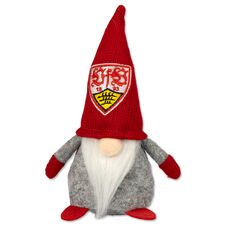 VfB Wichtel