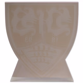 VfB LED light emblem