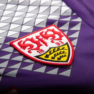 VfB Wappen 