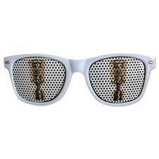 VfB sunglasses cup final 2025