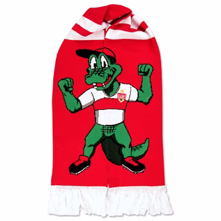 VfB scarf riesenfritzle recycled