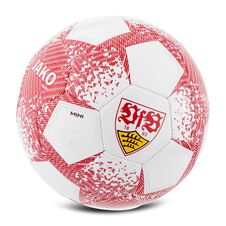 VfB Miniball