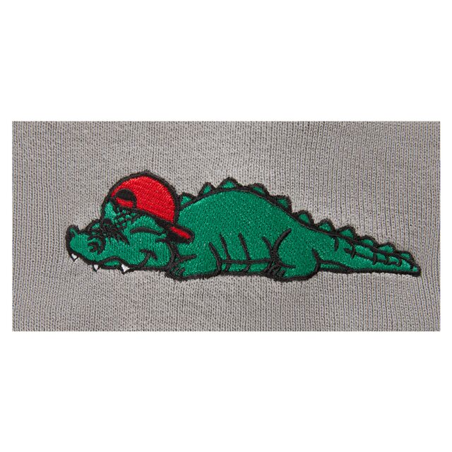 Nahaufnahme von schlafendem Fritzle auf der Beanie