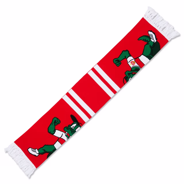 VfB scarf riesenfritzle recycled