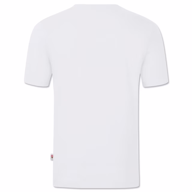 VfB t-shirt Mir send Schwoba
