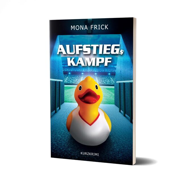 Cover des Taschenbuchs Aufstiegskampf von Mona Frick